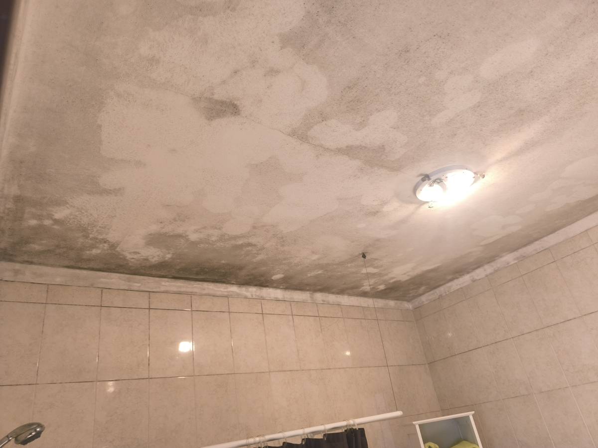 Reis Pinturas e Remodelações - Portimão - Additions and Remodels