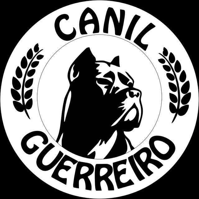 René Bumbila - Vila Nova de Gaia - Hundetraining - Privatunterricht