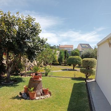 Fábio Teixeira - Vila Nova de Gaia - Remoção de Ervas Daninhas