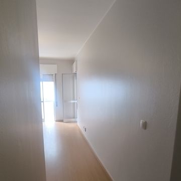 Reis Pinturas e Remodelações - Portimão - Waste Removal