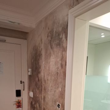 you.paint - Torres Vedras - Pintura de Casas