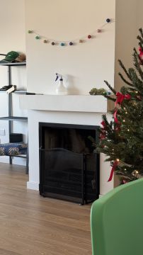Fireplace and Chimney Inspector