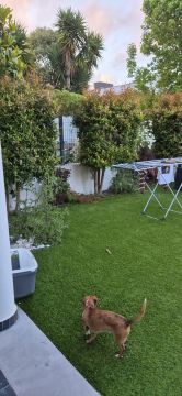 Gardener