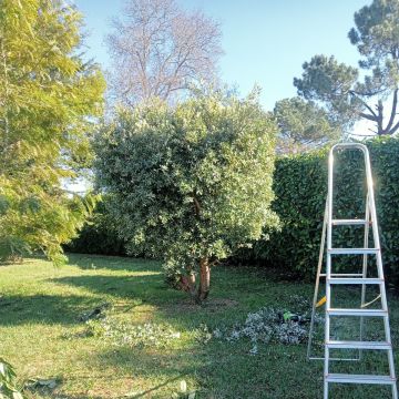 Fábio Teixeira - Vila Nova de Gaia - Jardinagem