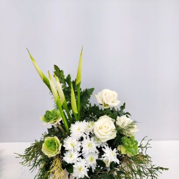 Studio Rossi - Cascais - Fleuriste