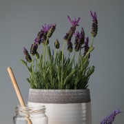 Emanuel Ribeirinho Fotografia - Lisboa - Fotografia de Natureza