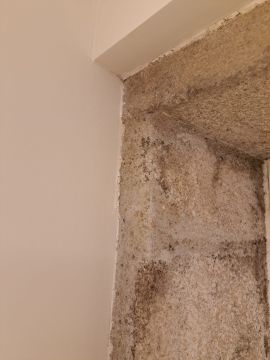 Pintura de Casas