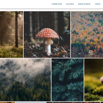 Daniel Silva - Paredes - Diseño web