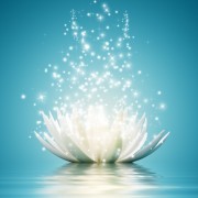 Joana Vasconcelos - Gondomar - Reiki