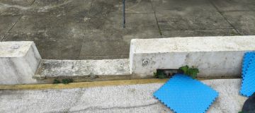 Landscaping - Home Improvements