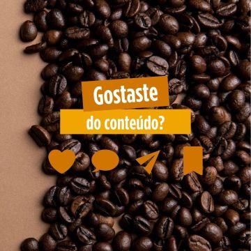 Beatriz Machado - Guimarães - Digital Marketing