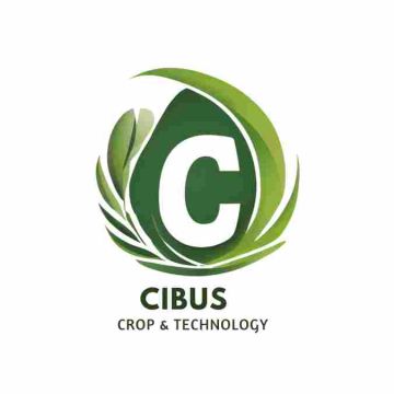 Cibus Technology Lda - Guimarães - Reparação de Telemóvel ou Tablet