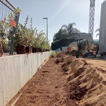 Fábio Teixeira - Vila Nova de Gaia - Plantação de Árvores