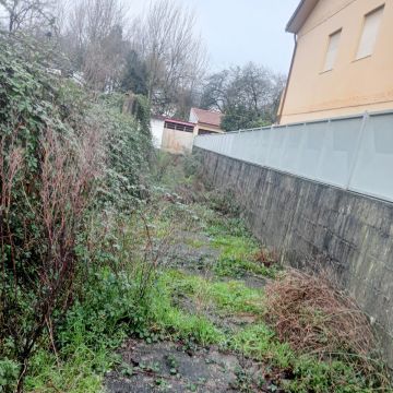 Fábio Teixeira - Vila Nova de Gaia - Remoção de Arbustos