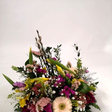 Studio Rossi - Cascais - Fleuristes