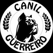 René Bumbila - Vila Nova de Gaia - Hundetraining - Privatunterricht