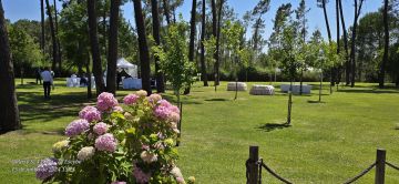 Dj Escybe Eventos - Golegã - Party Equipment Rentals