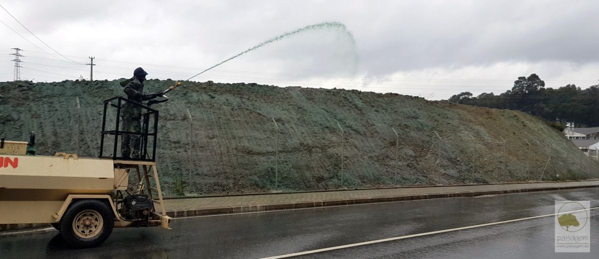 Paisagem Instantânea, Lda - Guimarães - Instalação de Pavimento em Betão