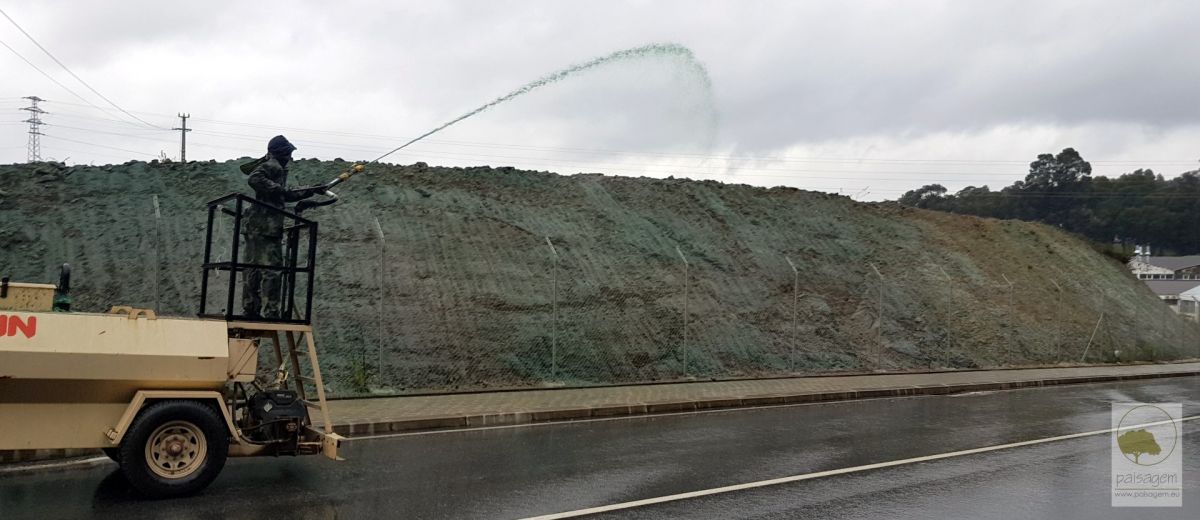 Paisagem Instantânea, Lda - Guimarães - Tratamento de Relvado