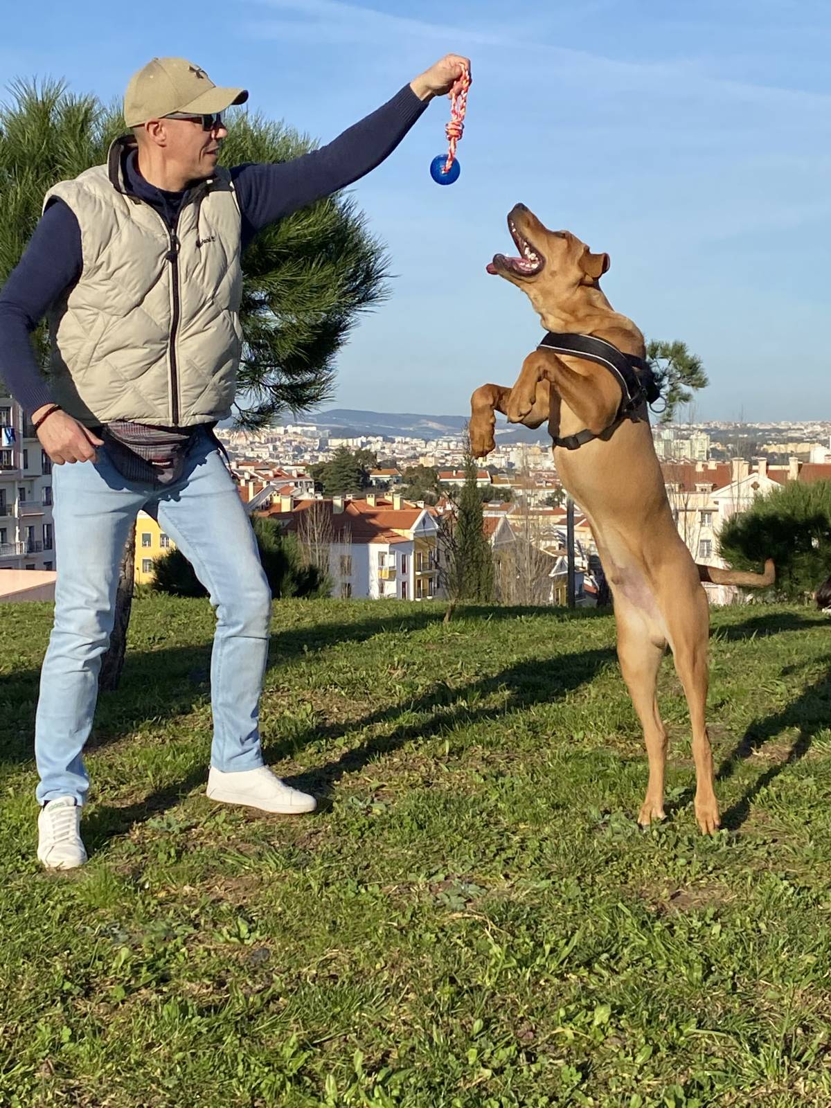 TrainedDogs - Amadora - Treino de Cães - Aulas