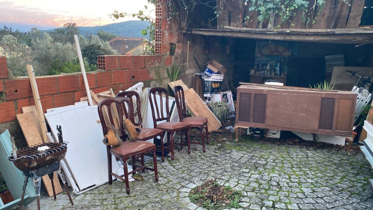 Home Reset - Mealhada - Baumstumpf oder -wurzel wegfräsen und entfernen