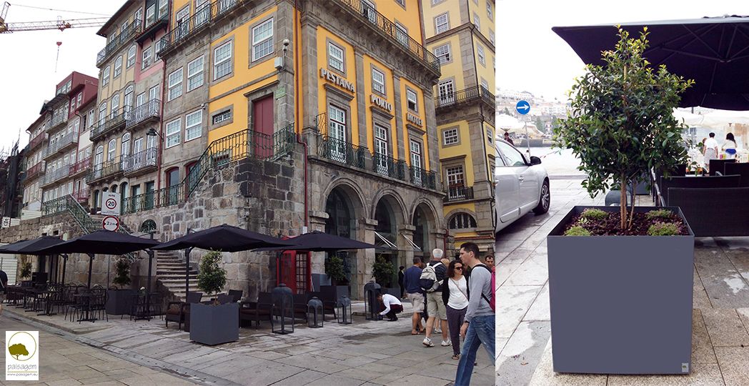 Paisagem Instantânea, Lda - Guimarães - Instalação de Tapete de Relva