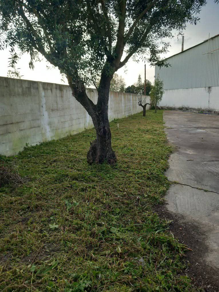 Margardens - Montijo - Katzenklappe einbauen