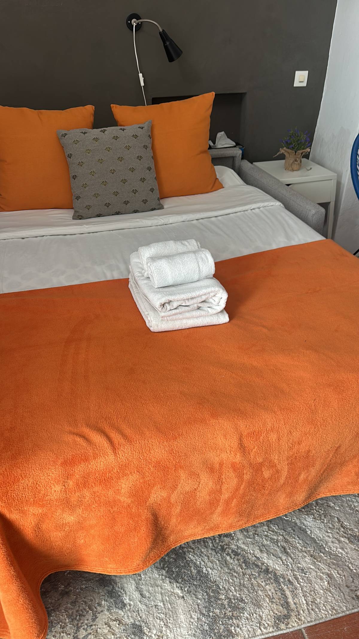 Plenissima limpeza - Albufeira - House Sitting