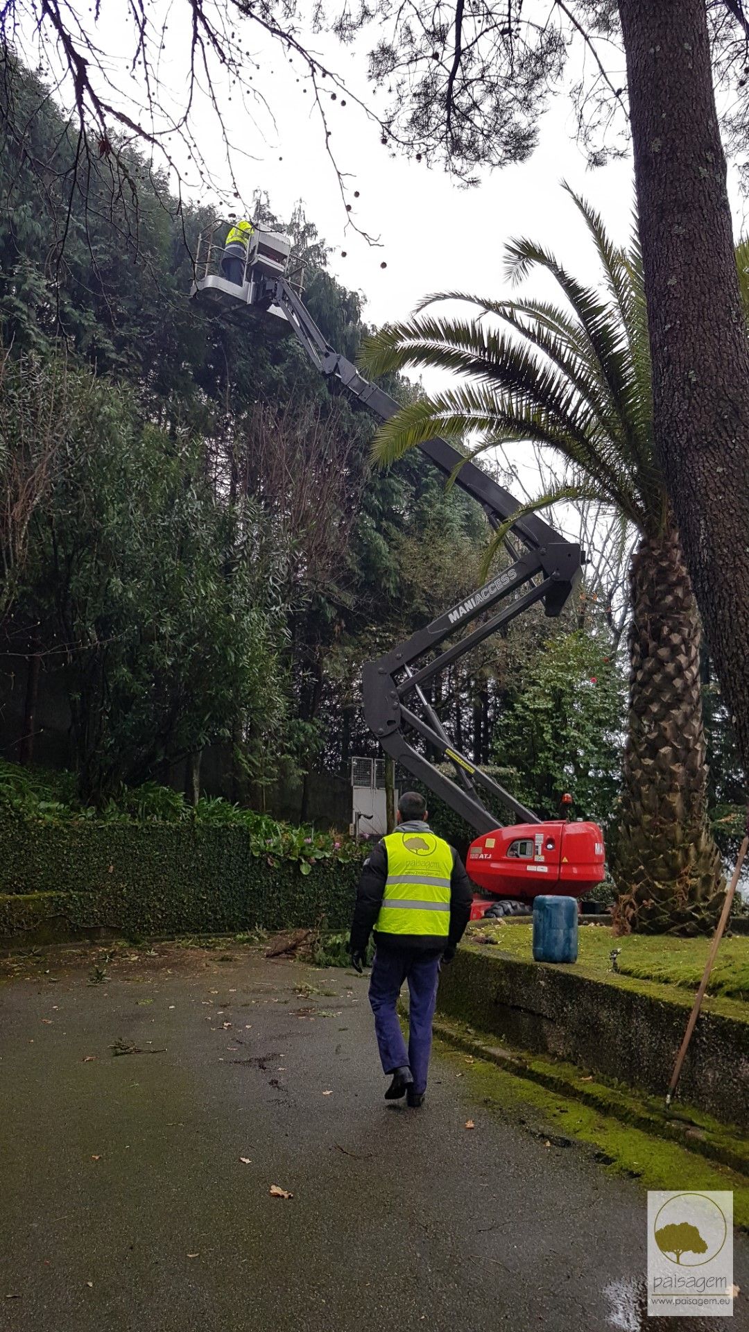 Paisagem Instantânea, Lda - Guimarães - Corte e Aparação de Relvado