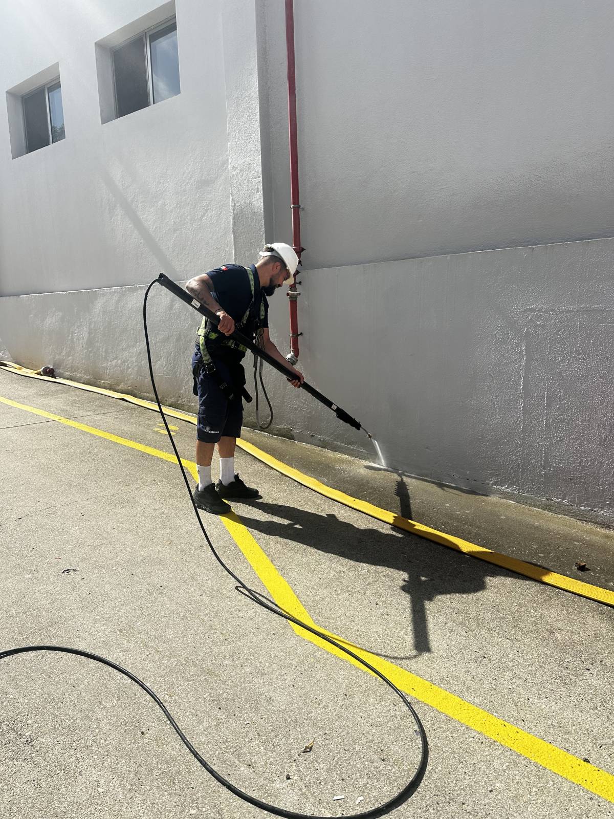 Pedro Silva - Almada - Tree Trimming and Maintenance