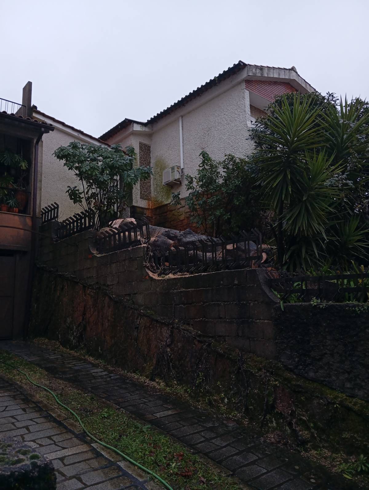 Podador