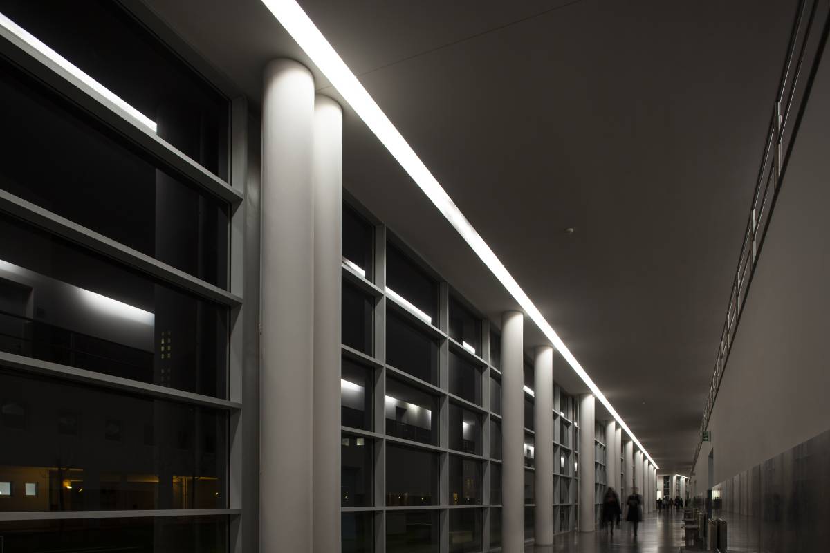 Daniel Miranda - Barcelos - Photographer