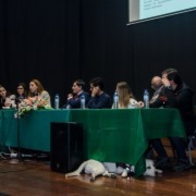 Happy Dogs Happier Families - Vila Nova de Gaia - Treino de Cães - Programa Board and Train