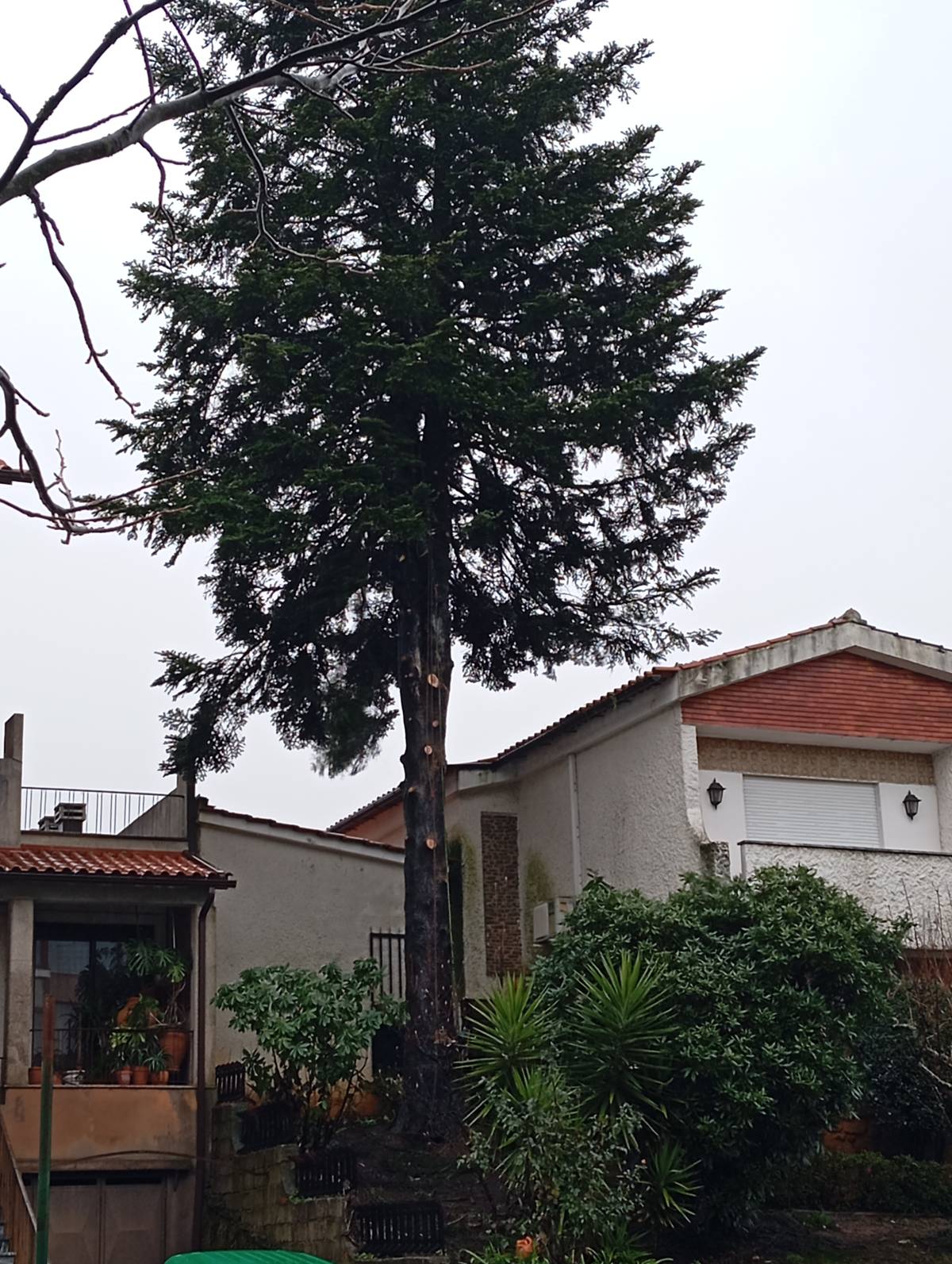 Jardinería