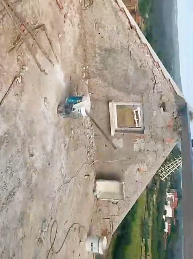 Ricardo Lino - Proença-a-Nova - Drywall Installation and Hanging