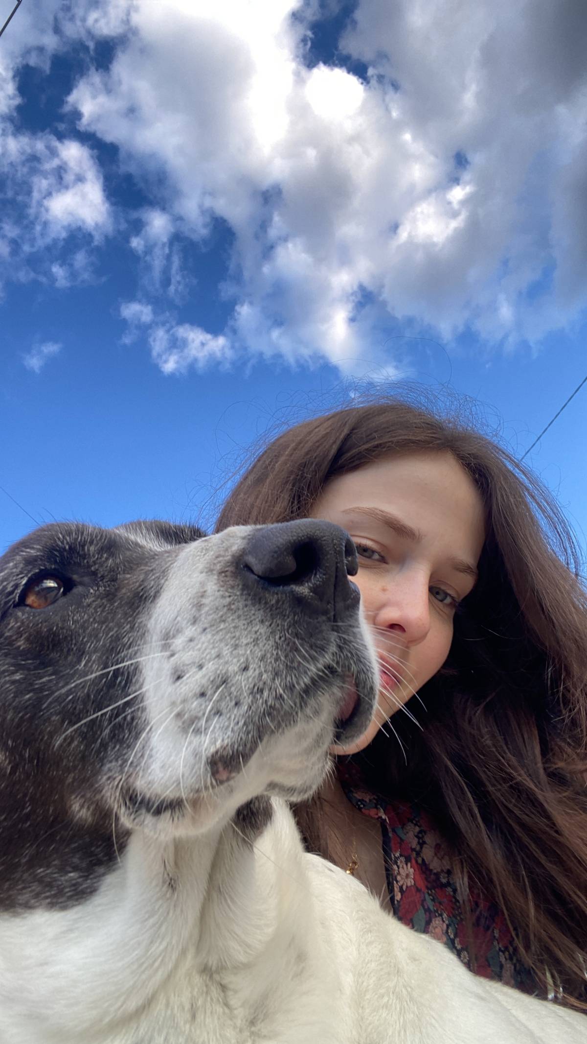 Isabel Sousa - Penafiel - Dog Walking