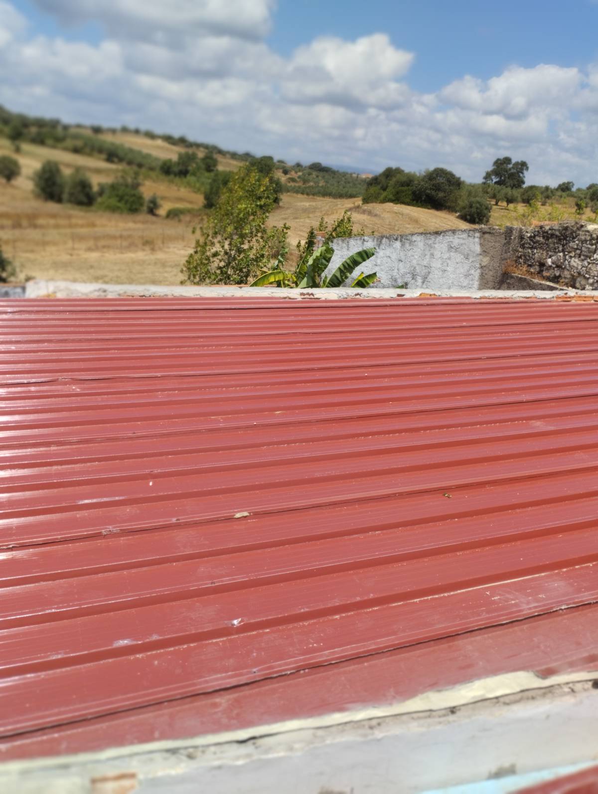 Grupo Desalva - Santarém - Installation ou remplacement de toiture
