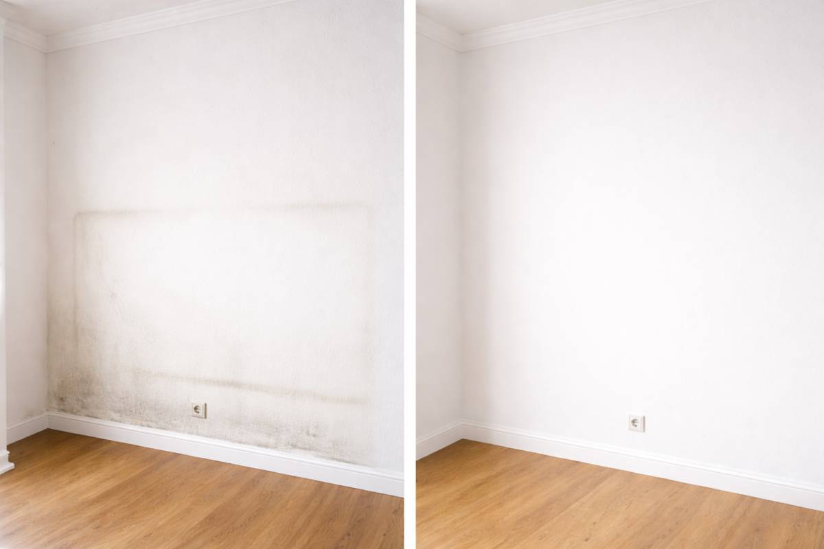 Liana - Lisboa - Cabinet Painting