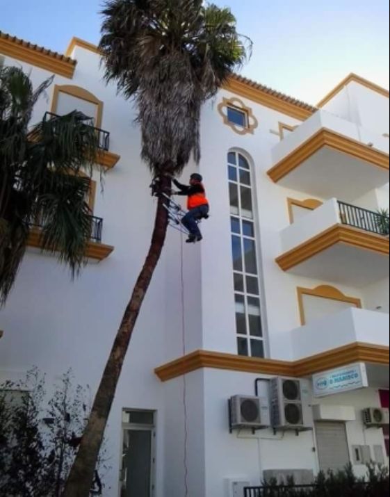 Sampaio Jardins Garden Lda - Redondo - Nivelação de Terreno - Grande Dimensão (mais de 1 hectar)
