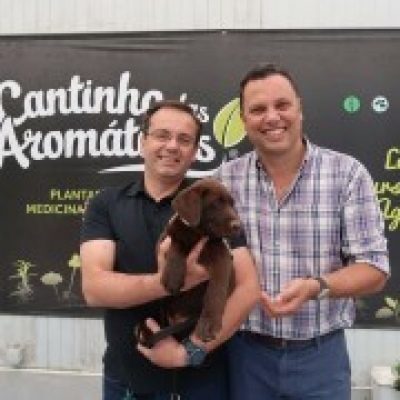 Happy Dogs Happier Families - Vila Nova de Gaia - Treino de Cães - Aulas