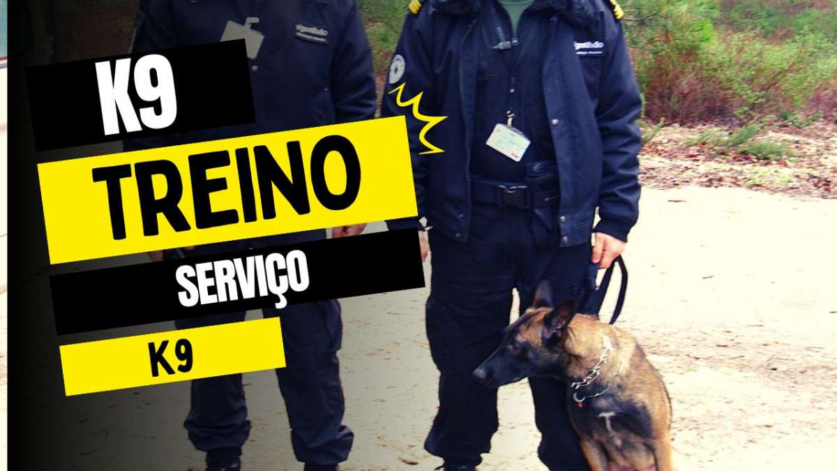 josecunha.pt - Ílhavo - Servicios de guardias de seguridad