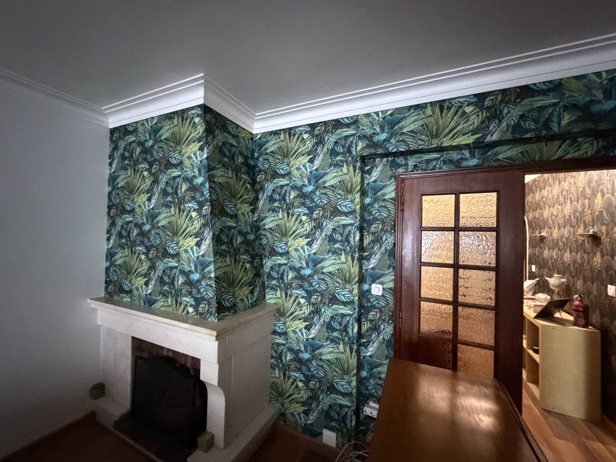 Jonathan cruz - Lisboa - Remoção de Papel de Parede