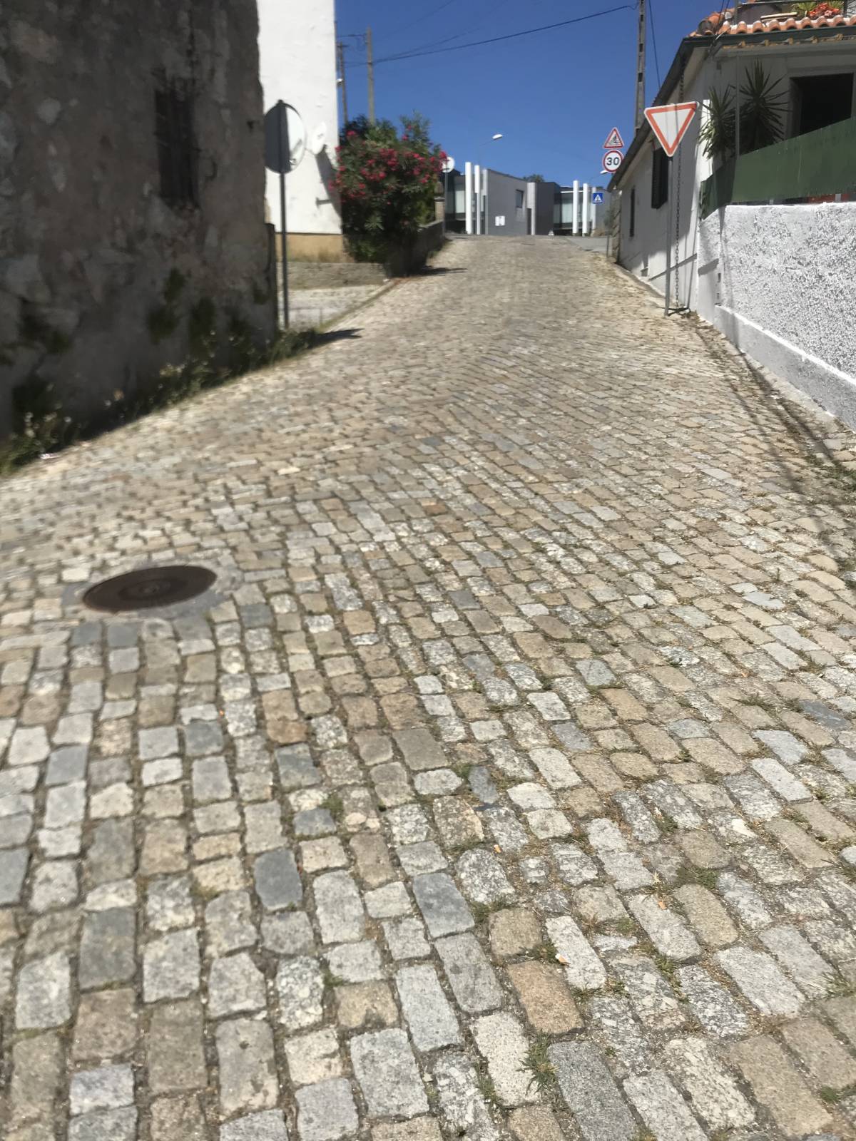 Irmãos Cândido - Viseu - Multi Service Lawn Care