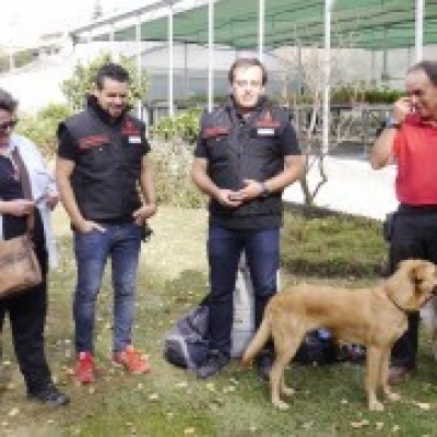 Happy Dogs Happier Families - Vila Nova de Gaia - Treino Animal e Modificação Comportamental (Não-canino)