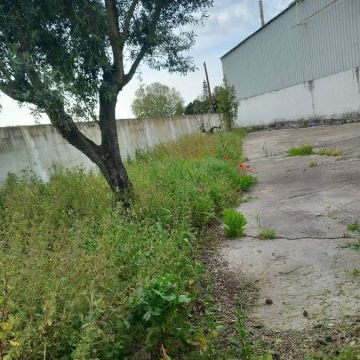 Margardens - Montijo - Tore