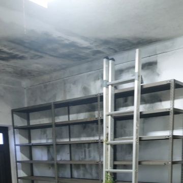 Home Reset - Mealhada - Grundstücksreinigung