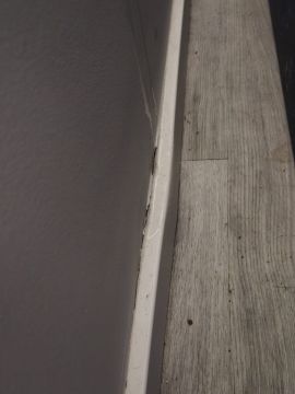 Spezialisten für Modernisierungen - Haus