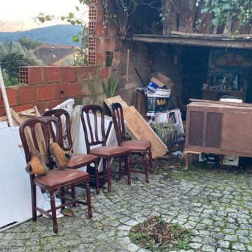 Home Reset - Mealhada - Baumstumpf oder -wurzel wegfräsen und entfernen