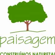 Paisagem Instantânea, Lda - Guimarães - Remoção de Tronco de Árvore