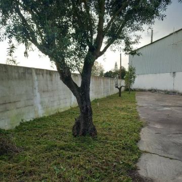 Margardens - Montijo - Katzenklappe einbauen